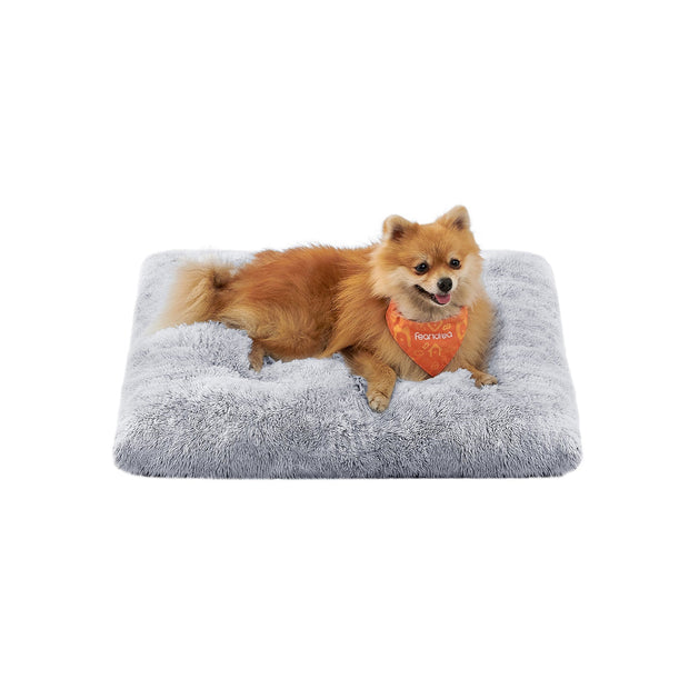Canapé Lit pour Grand Chien