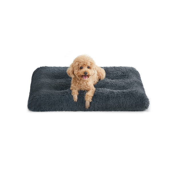Canapé Lit pour Grand Chien