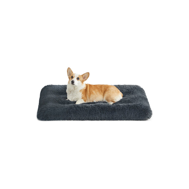 Canapé Lit pour Grand Chien