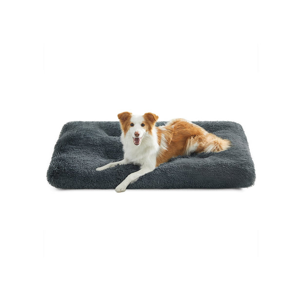 Canapé Lit pour Grand Chien