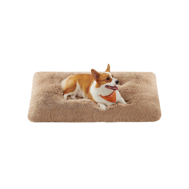 Canapé Lit pour Grand Chien
