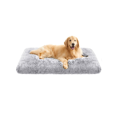 Canapé Lit pour Grand Chien