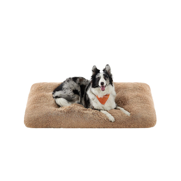 Canapé Lit pour Grand Chien