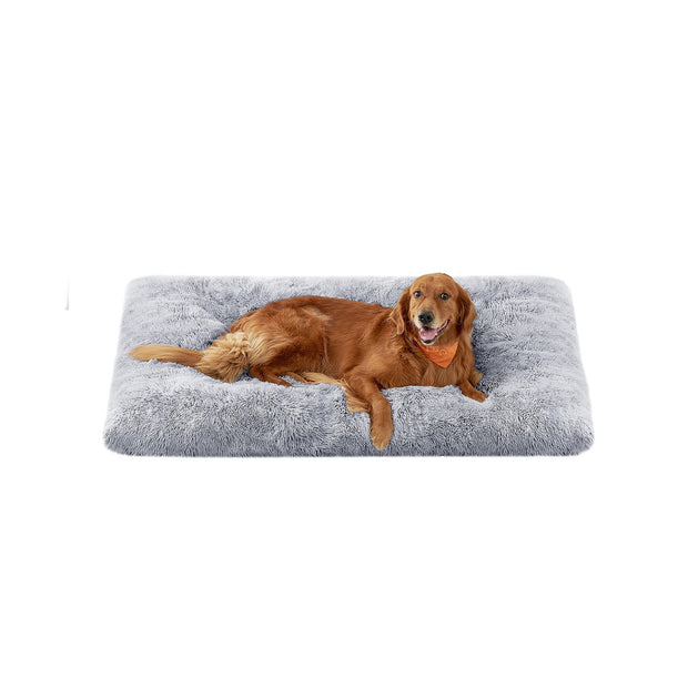 Canapé Lit pour Grand Chien